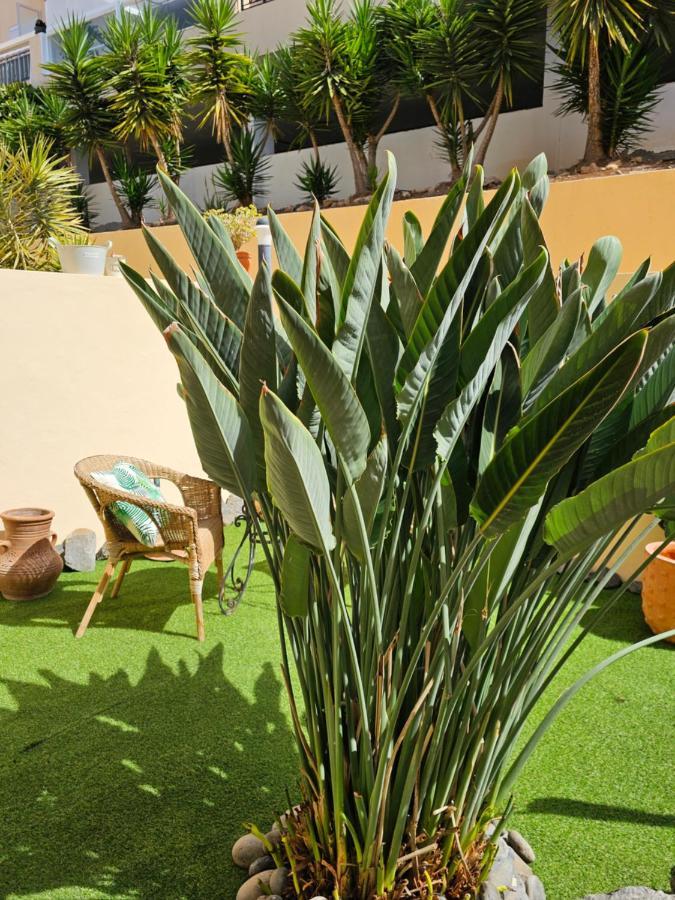 New Holiday Home Beautiful Sea View With Aircon, Costa Adeje Costa Adeje  Ngoại thất bức ảnh